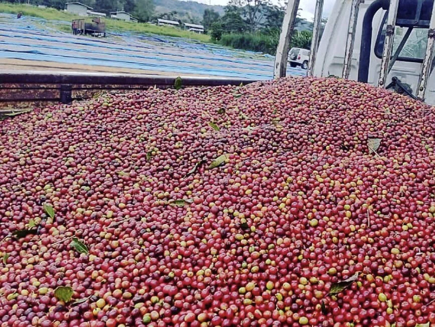 65ADECEF-4E61-4417-B2A9-F2A04477AEF9