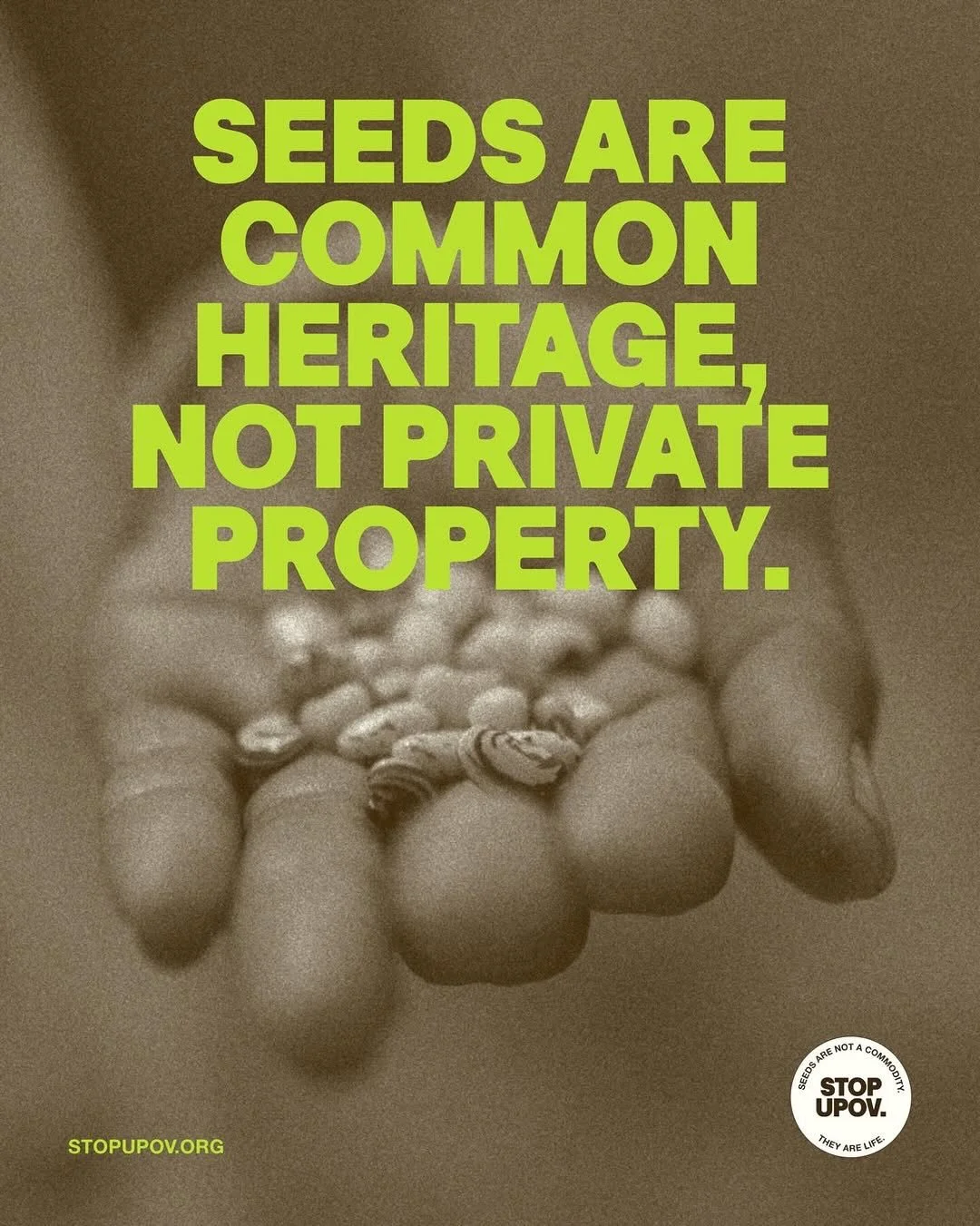 Giving this important issue visibility 🌱 read below, join the movement via @agrowingculture 

👉🏾 Seed sovereignty is under attack &mdash; but resistance is growing.
Whether you grow food, sell it, cook it, write about it, or fight for it, you have