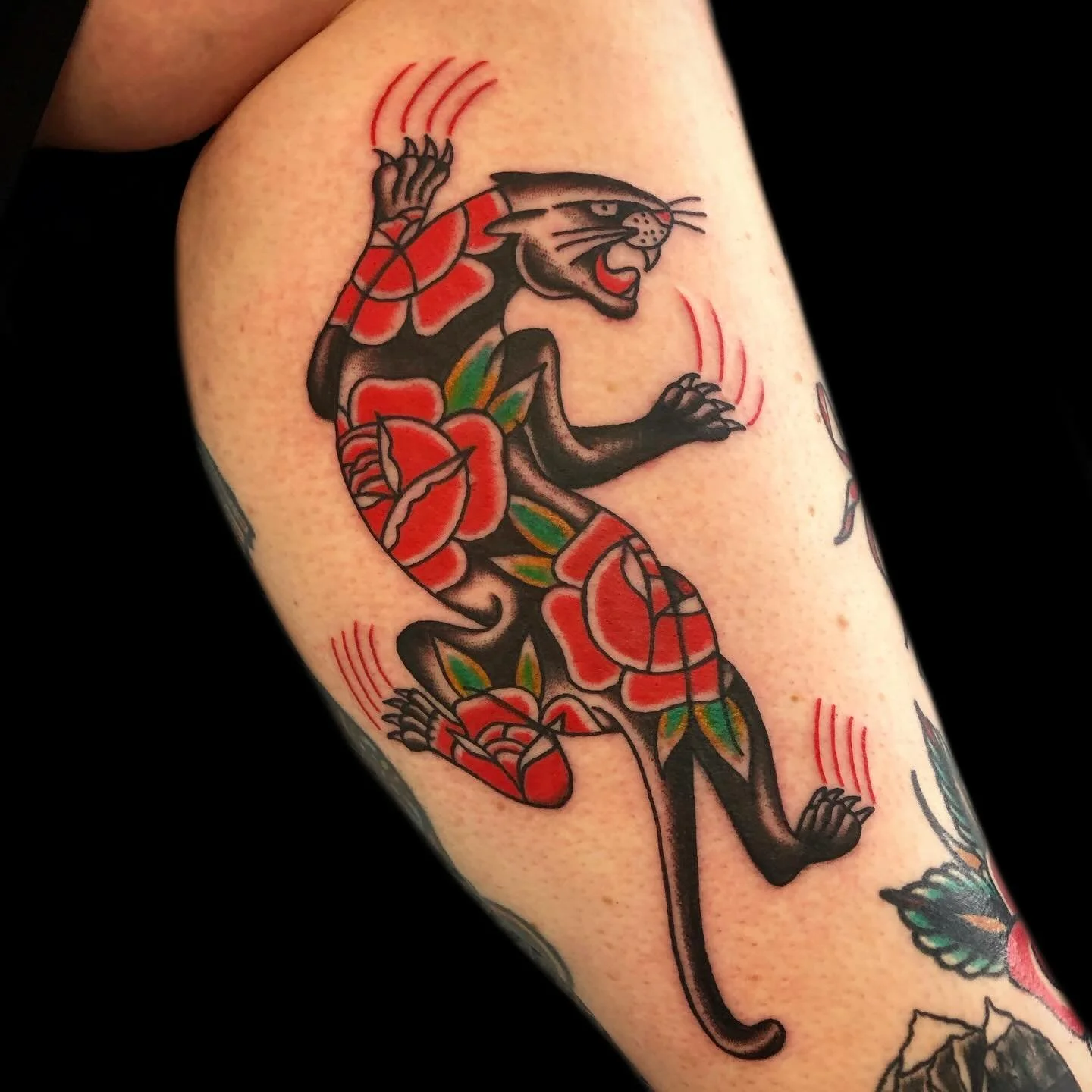 Some tattoos from the archives that I wanted to bring back for your viewing pleasure. 

I still have appointments left for this year. Book through my website now!