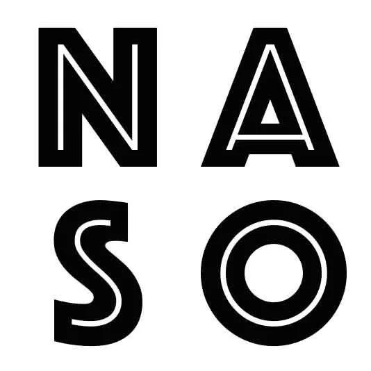 New Amsterdam Symphony Orchestra