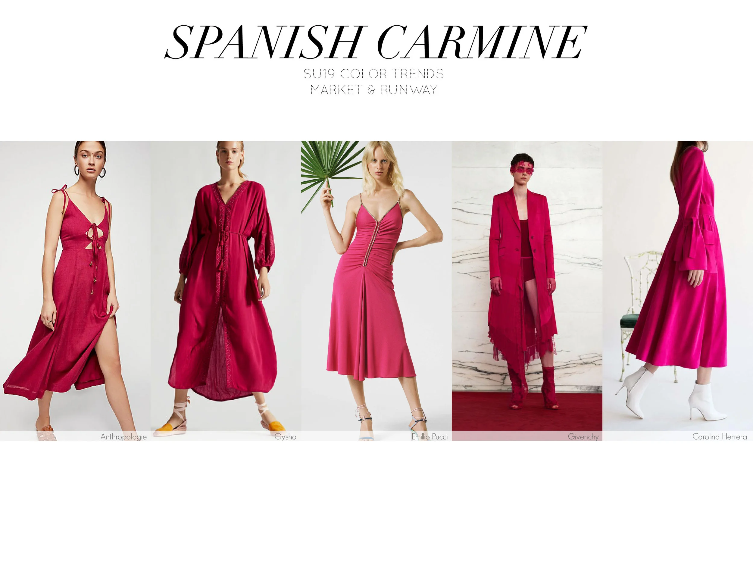 Spanish Carmine-01.jpg