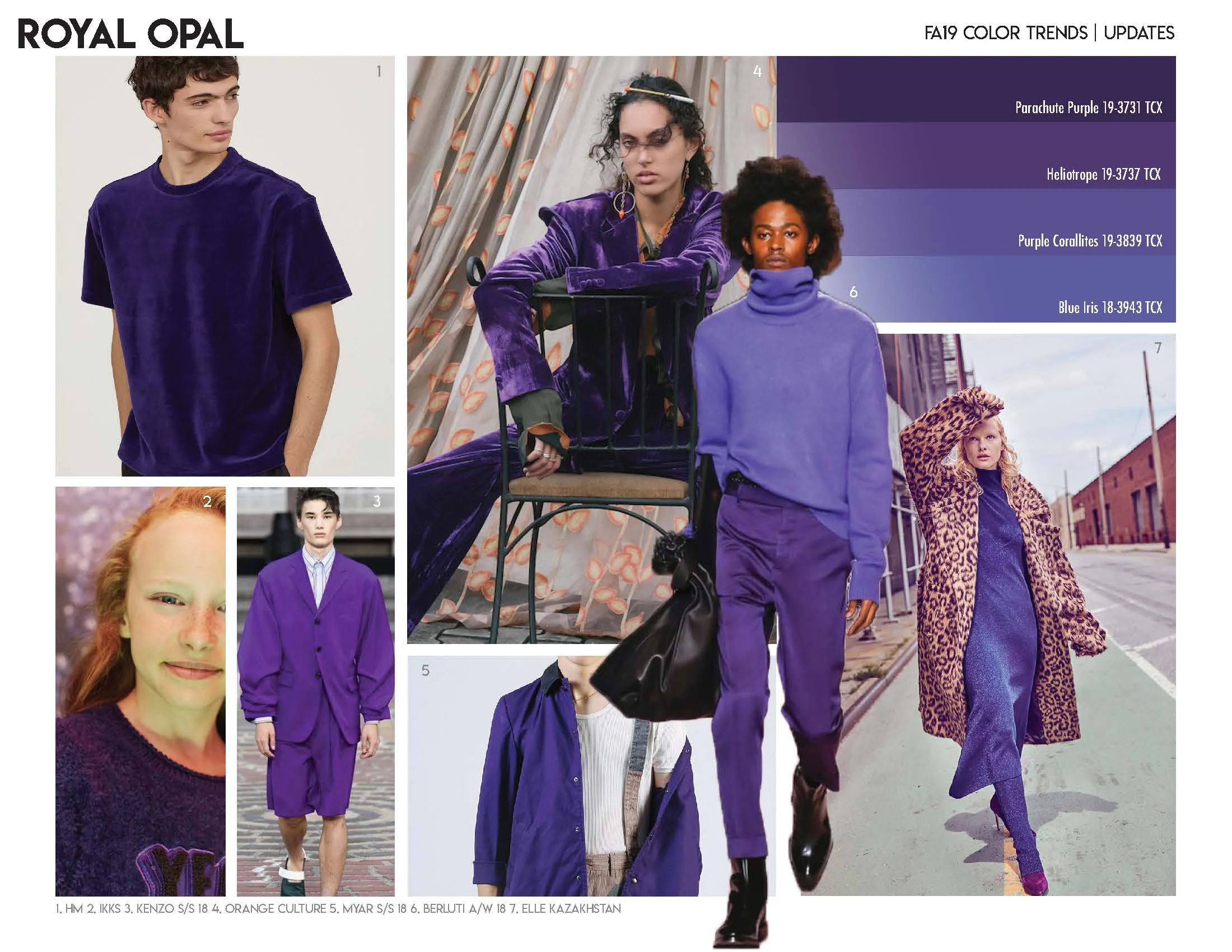 FA19 Color Trends_Page_05.jpg
