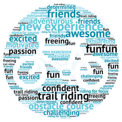 Check out this sample data (view chart below) from one of one of our current Riding for Focus schools. 