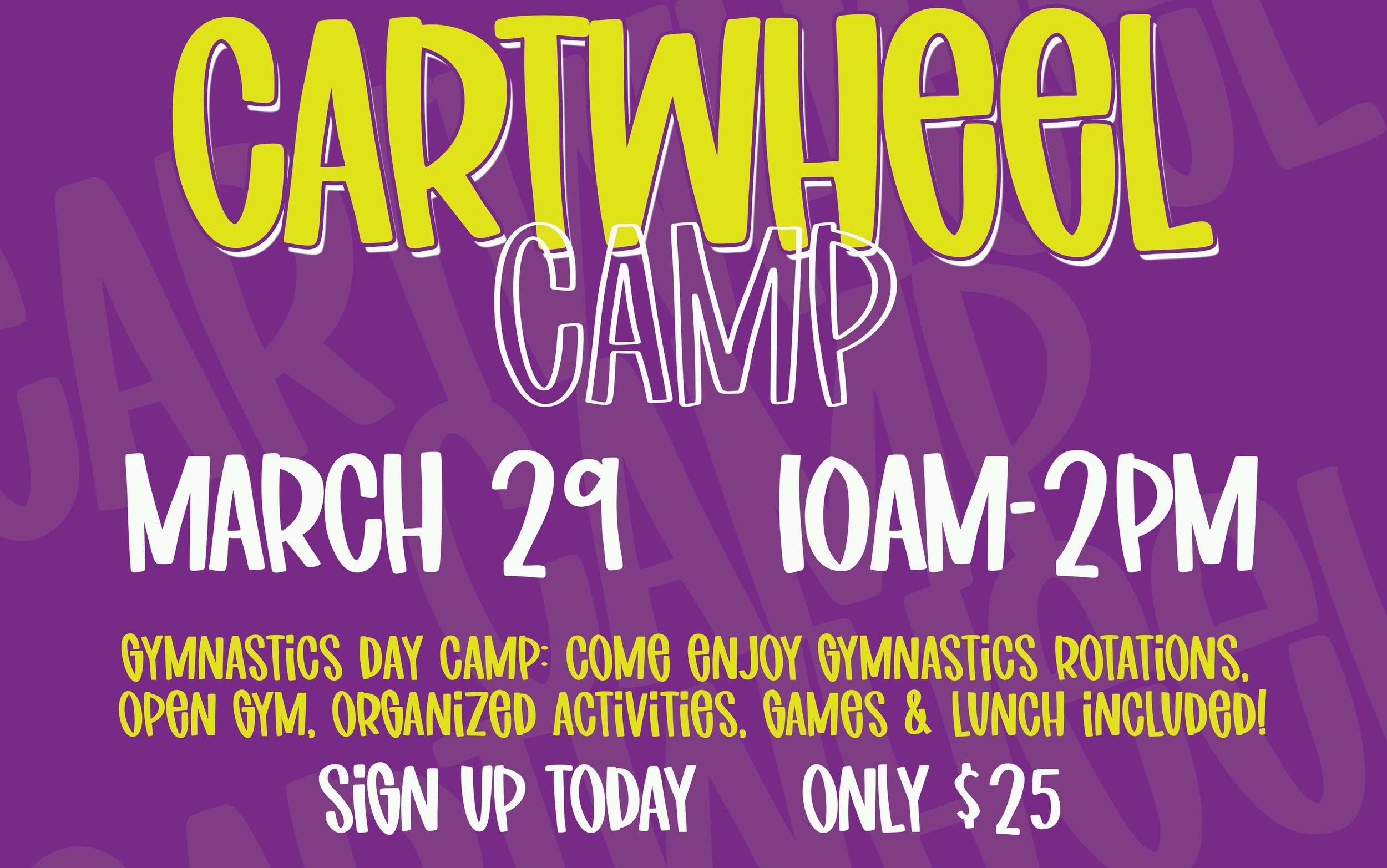 Cartwheel Camp