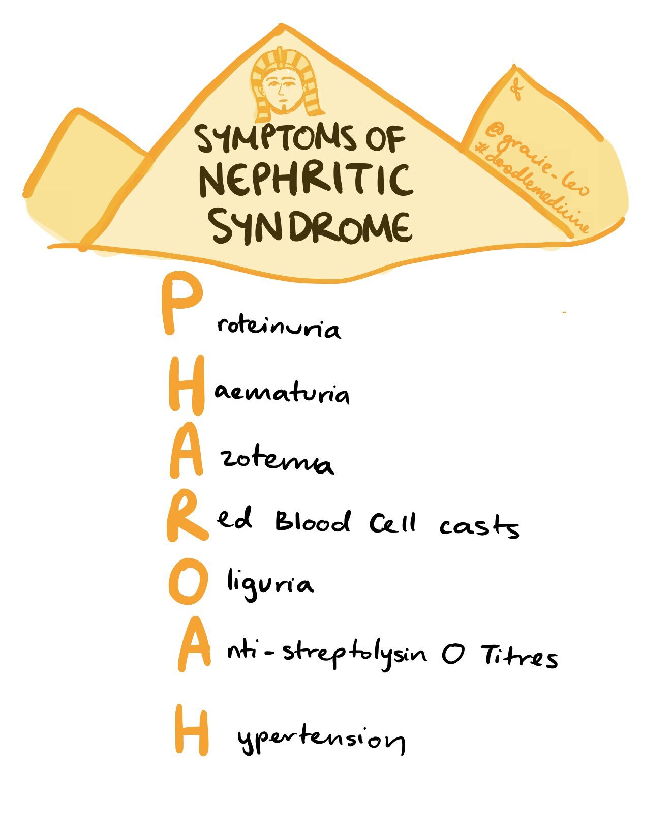 NephroticSyndrome_PHAROAH_doodlemedicine.jpg