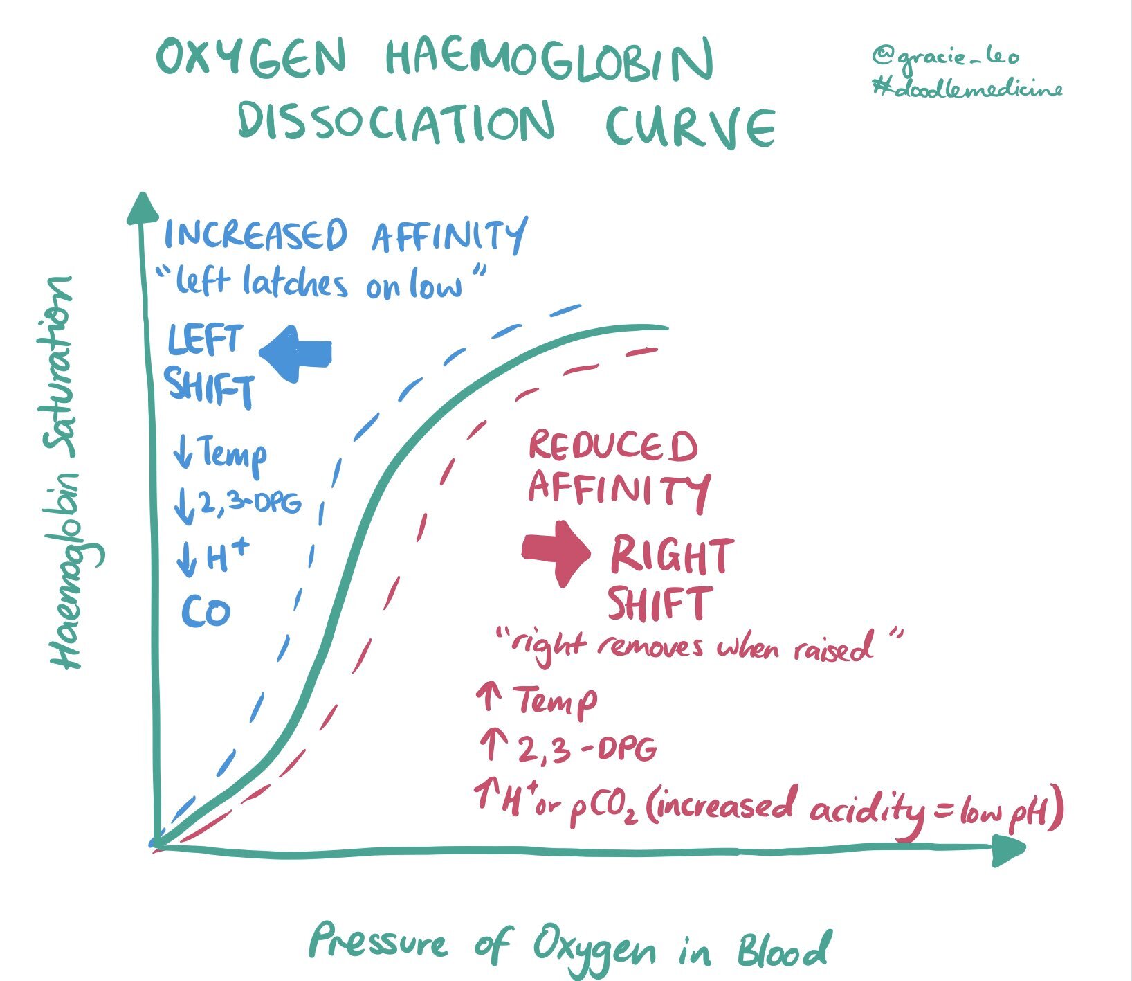 O2Hb_dissociationcurve_doodlemedicine.jpg