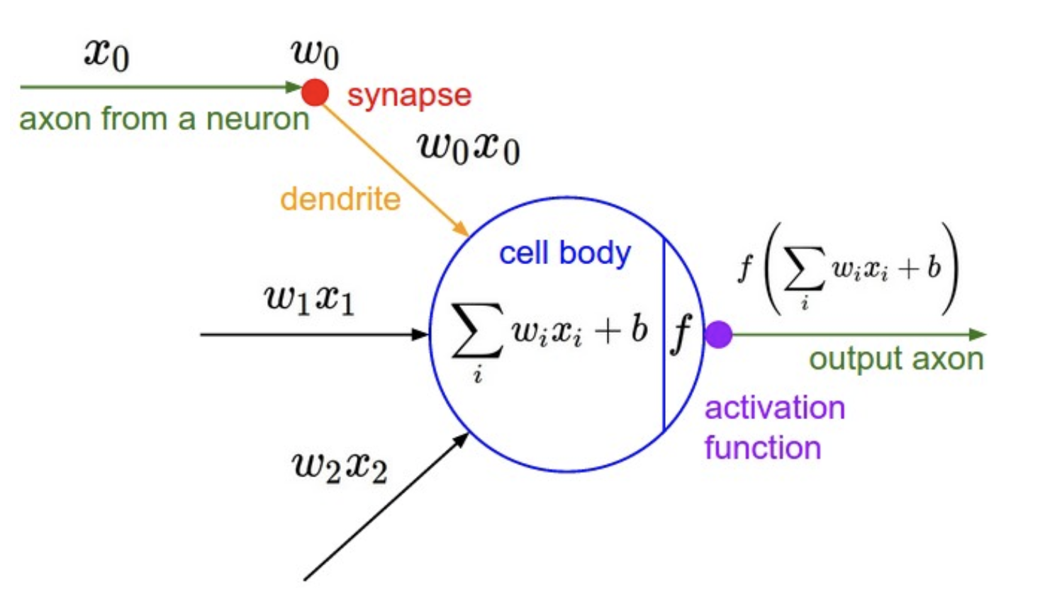 How a neuron is modeled as a mathematical function. Source: http://cs231n.github.io/neural-networks-1/