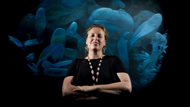 "Erica Seccombe uses X-rays to produces 3D images. Her aim is to show how science and art can be combined." Photo: Jay Cronan, Canberra Times, FEBRUARY 20 2015