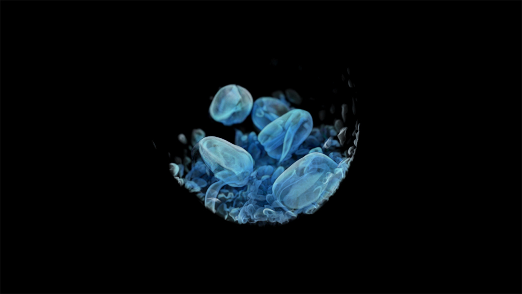 Erica Seccombe, Out of Season, 2016, still frame from moving image