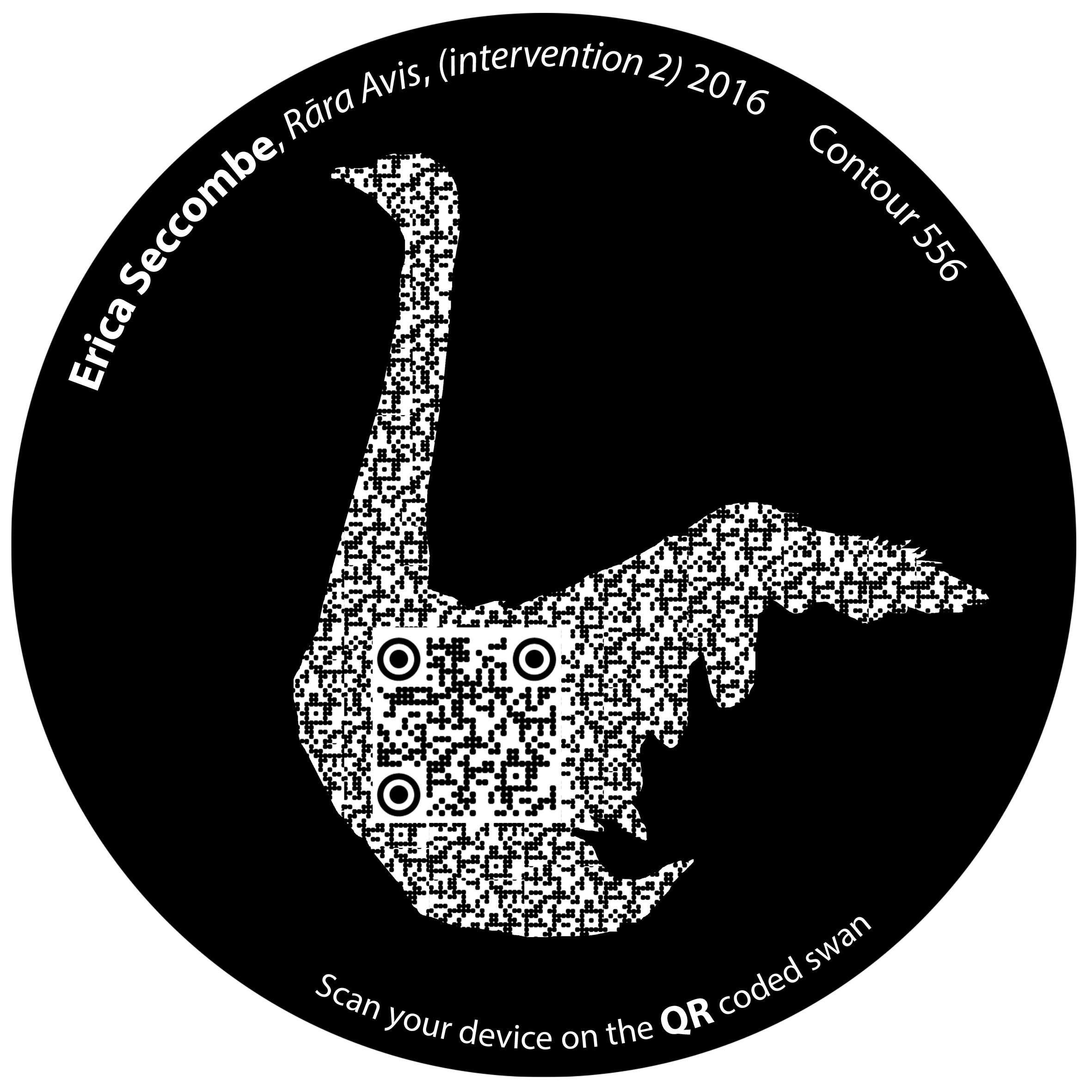 Erica Seccombe, Rara Avis , 2016, Intervention 2