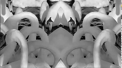 Whiteswanplaceimage.jpg