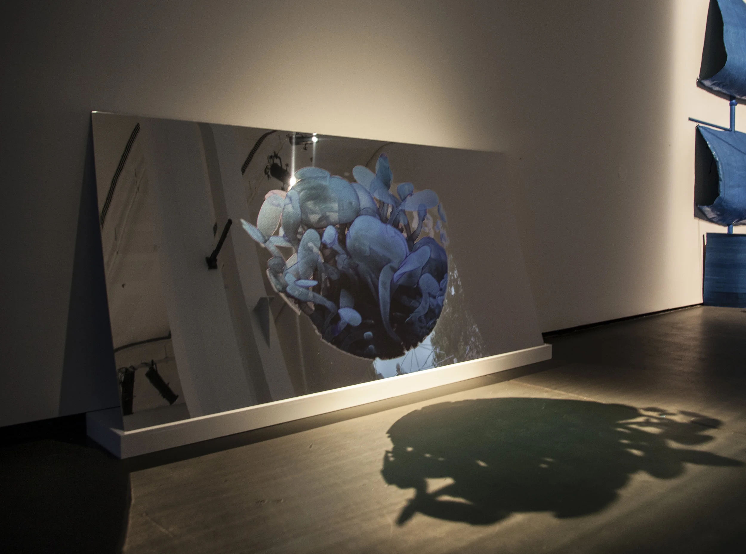 Erica Seccombe, Virtual Life , 2014, (installed in the exhibition) Solvent print on aluminium composite board, 1220 mm x 2400 mm. Winner inaugural Paramor Prize for Art + Innovation, 2015 Casula Powerhouse Art Centre Liverpool NSW.
