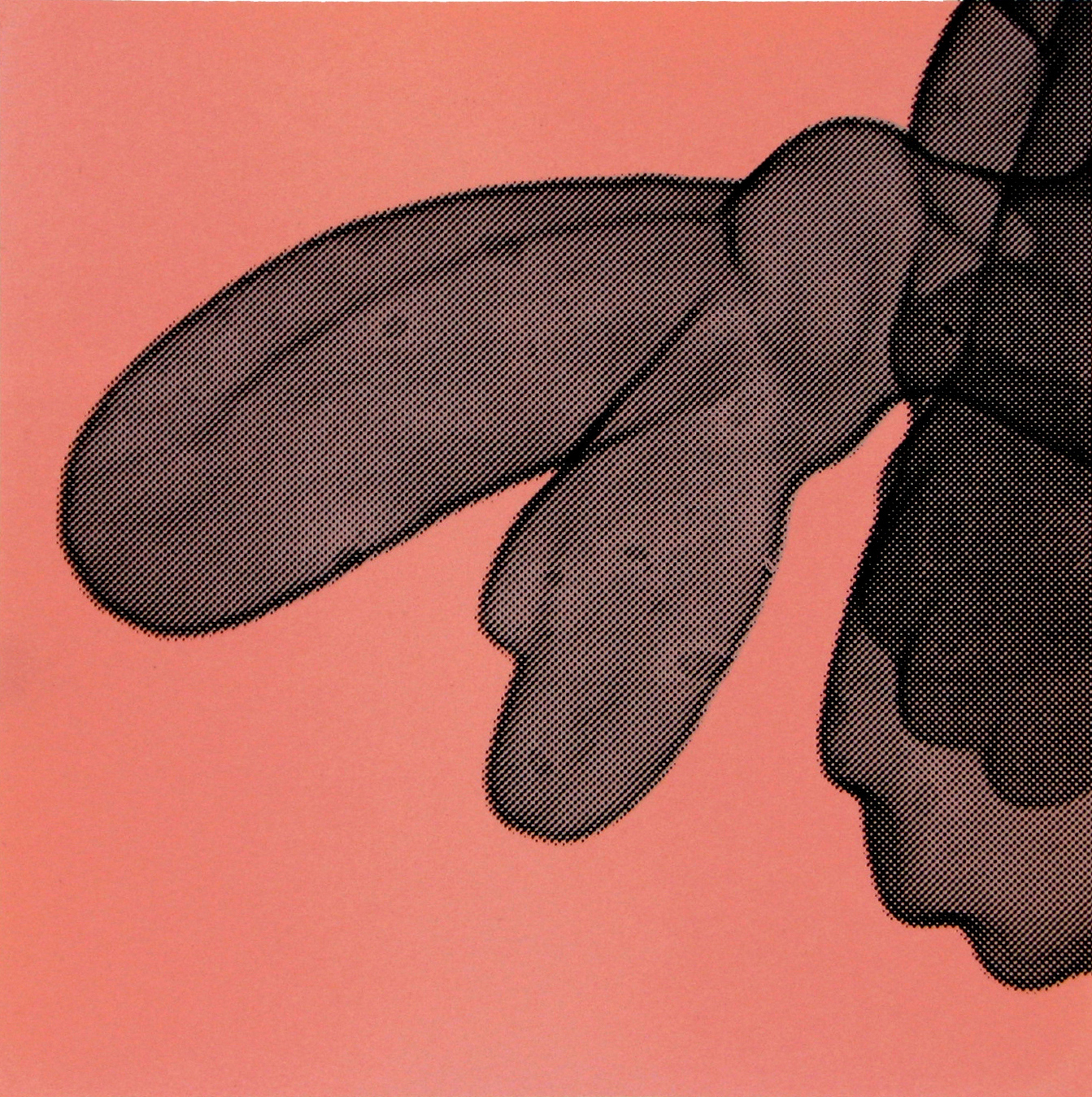 Copy of Erica Seccombe, Flipper (pink) 2007. 