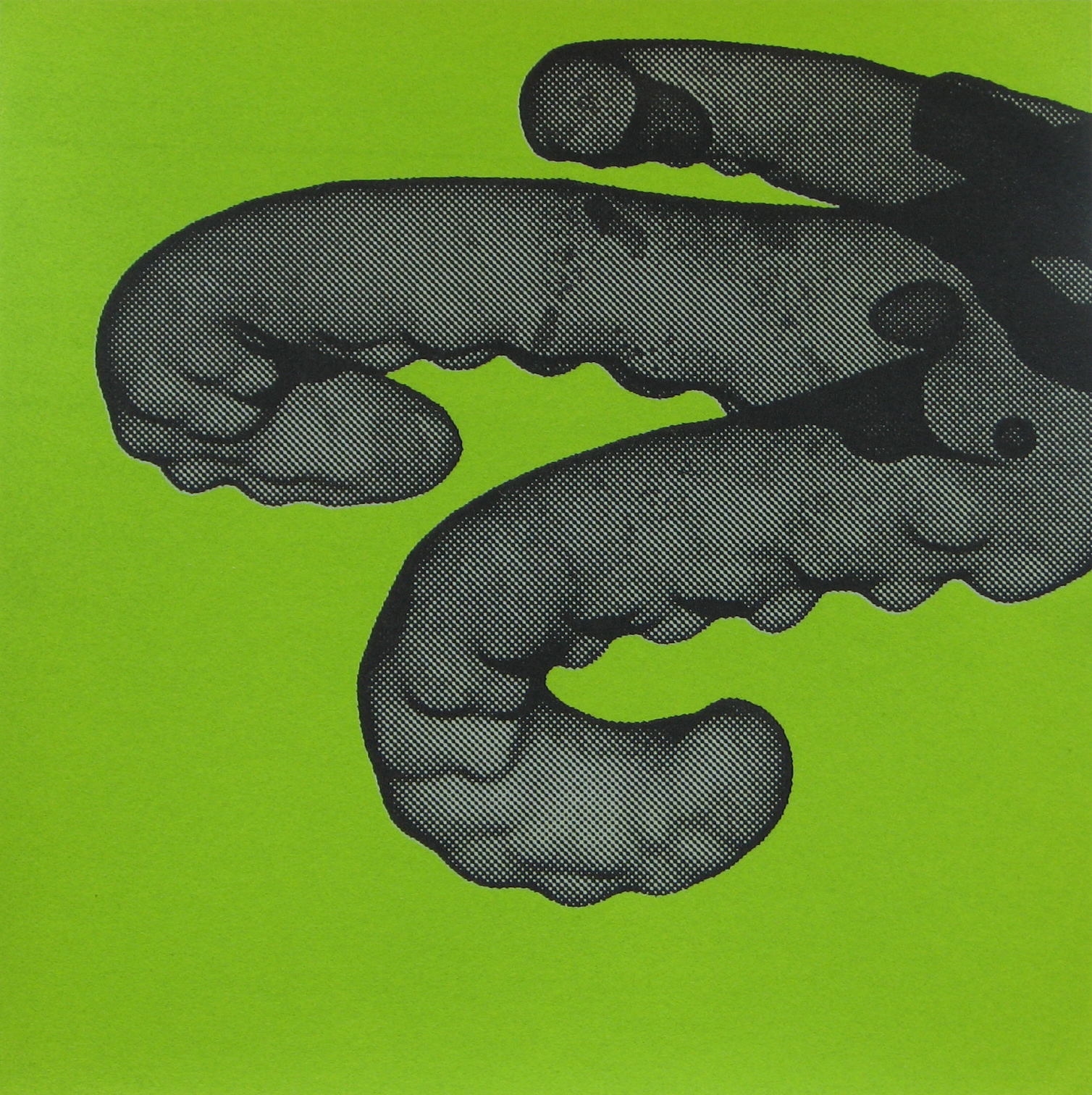 Erica Seccombe, Tentacles (green) 2007. 