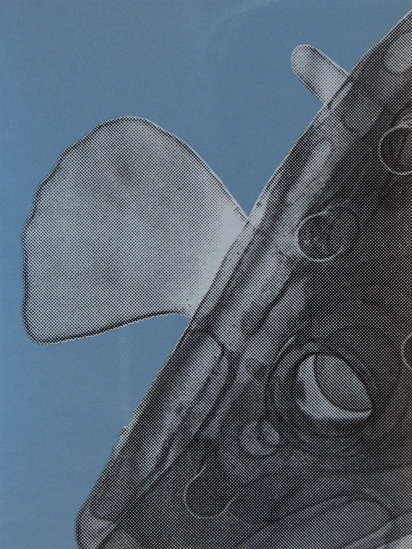 Copy of Erica Seccombe, Propeller, 2007, 