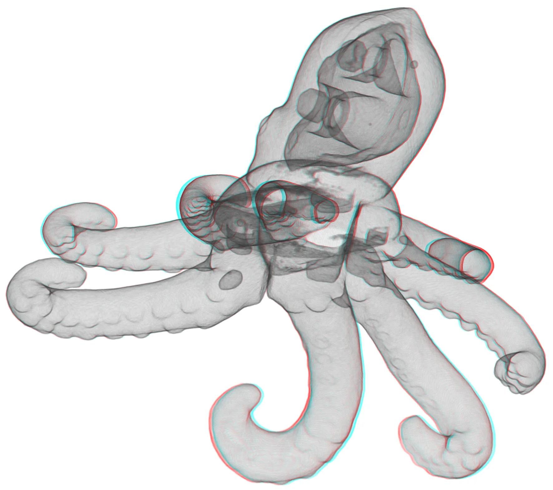 EJS.Ocularanagluphos2012LR.jpg