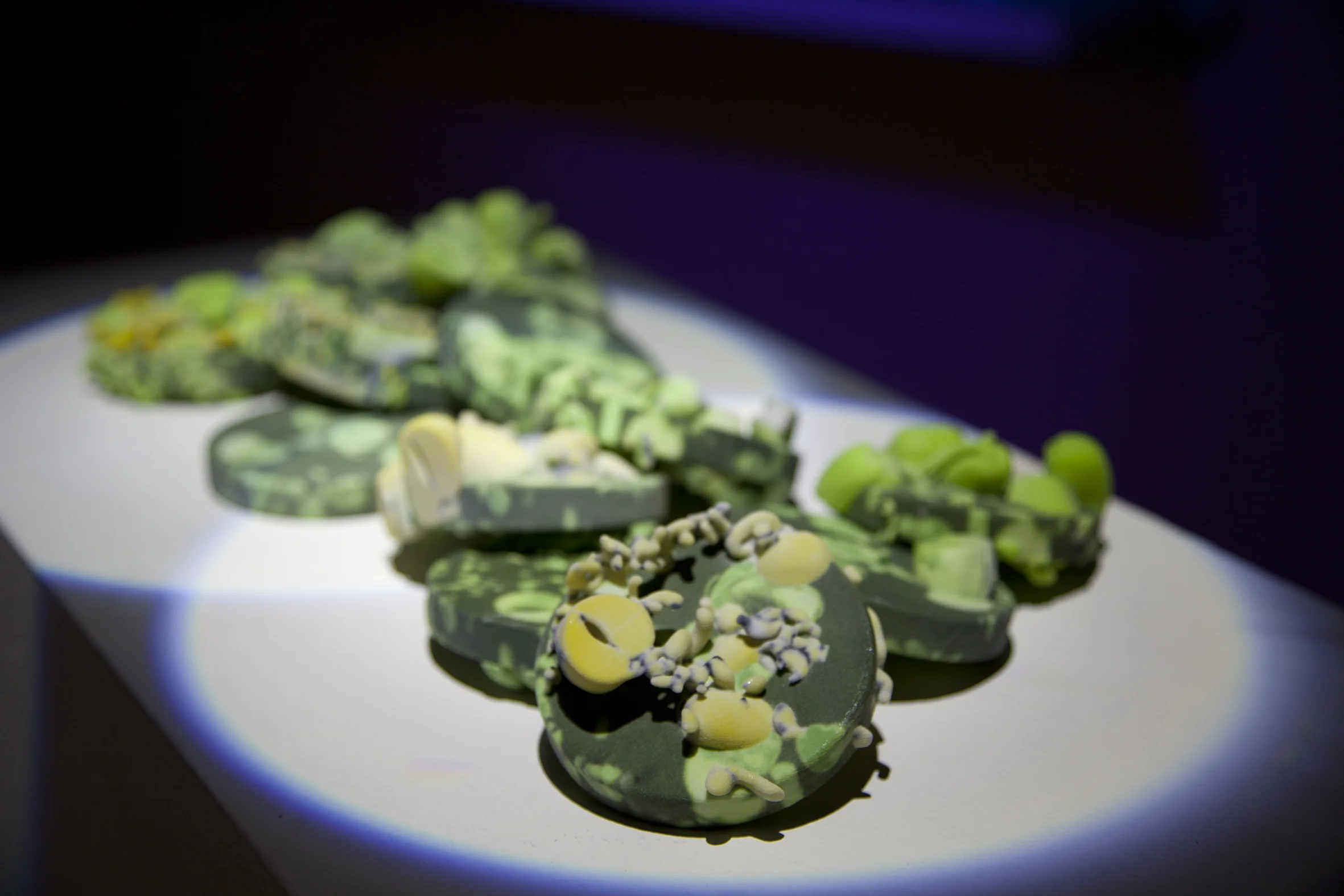 Erica Seccombe, Printing Time , 2015, 12 3D printed objects, gypusm, ink, resin, binder. 10 cm diameter to 4 cm high (variations)