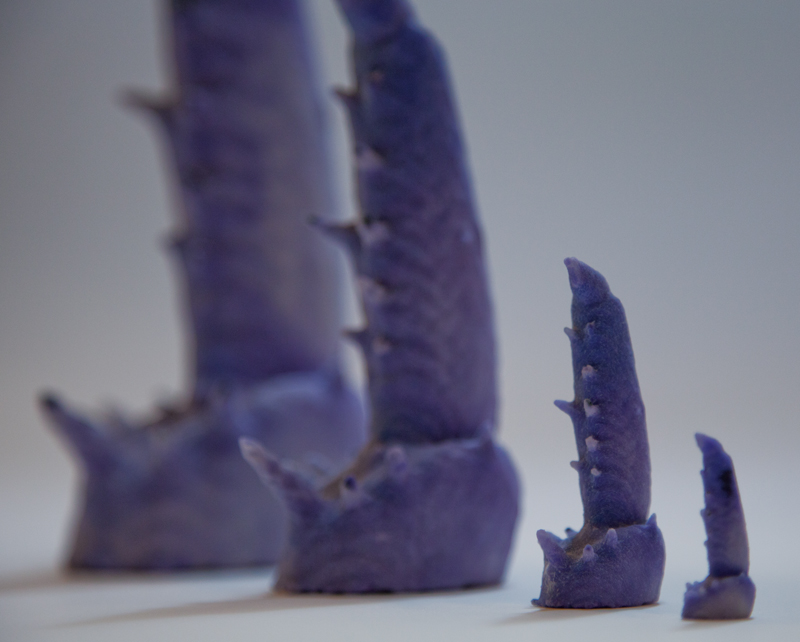 Erica Seccombe, Collective Unconscious 2013, 3D print edition 5, installation size20 x 23 x 5cm