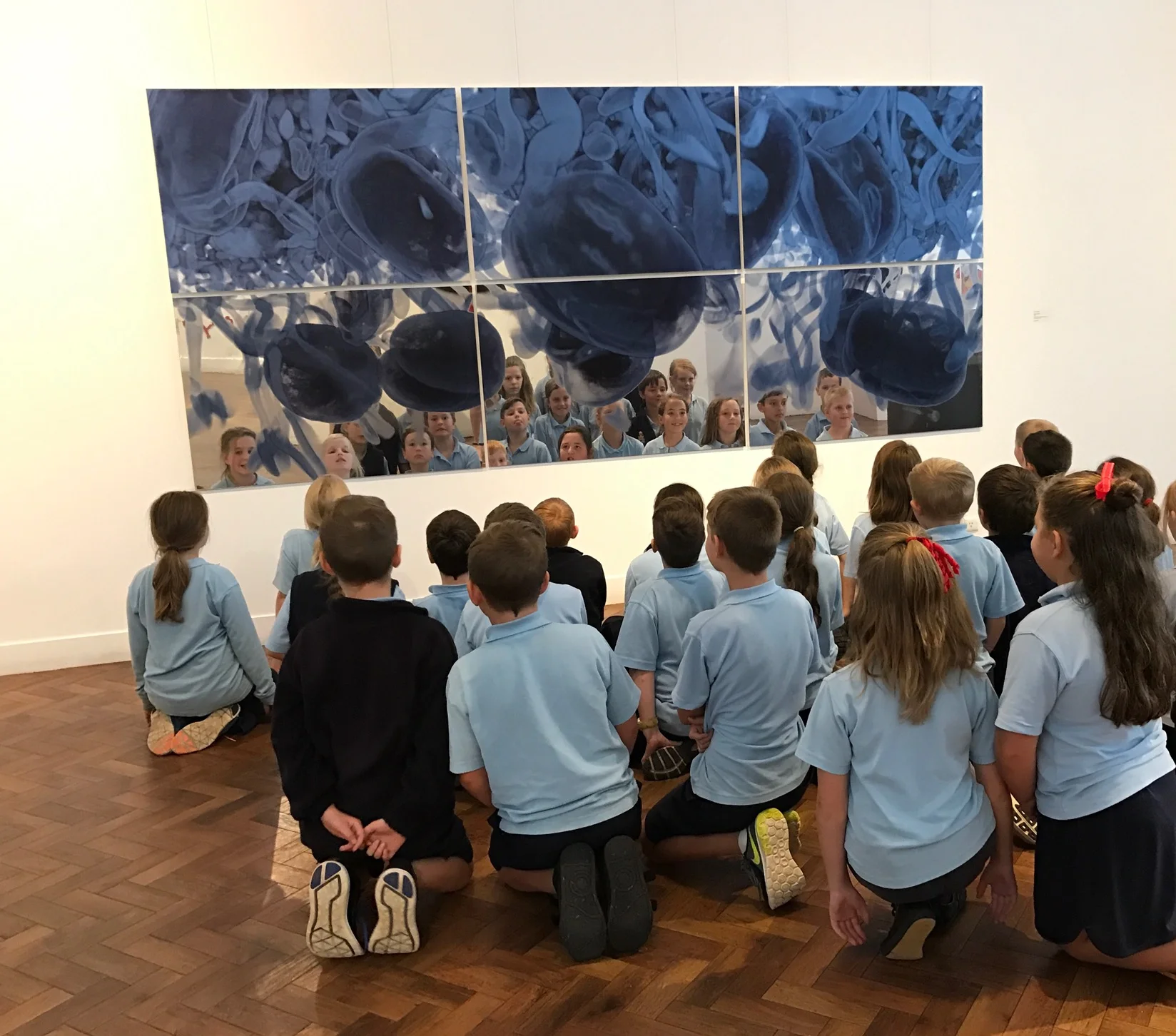 Erica Seccombe, In Our Time , 2016, 6 panels, 3600 x 1600 mm, inkjet print mirrored aluminium, Photo curtesy Goulburn Regional Art Gallery 2017. 