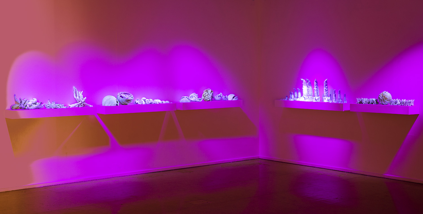 Erica Seccombe, Modern Prometheus (after Shelley) 2013, detail, gypsum, ink, resin, max hight 40cm, installation view, Science Fiction , Canberra Contemporary Art Space, photo: Brenton McGeachie