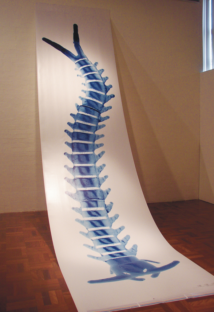 Erica Seccombe, Creaturepede 2004, inkjet print on satin paper, 90 x 600cm. image from exhibition 2x4 for the 2004 Masters and PHD graduation ANU School of Art Gallery, 29 April - 1 May 2004.