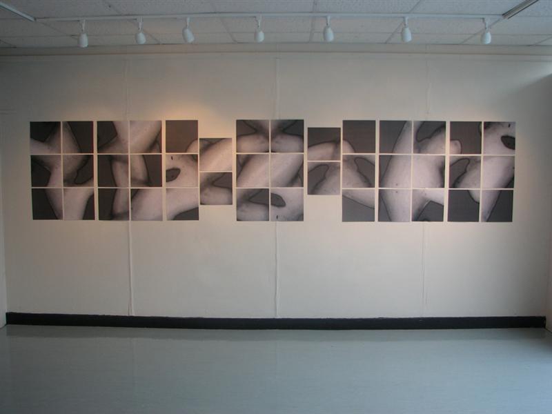 Erica Seccombe, Biomorph, 2006, photocopy on laser paper, 40 panels 30 x 30 cm) installed: Supernatural, Alsager Art Centre, Manchester University, UK, 25 Sept - 27 Oct 2006