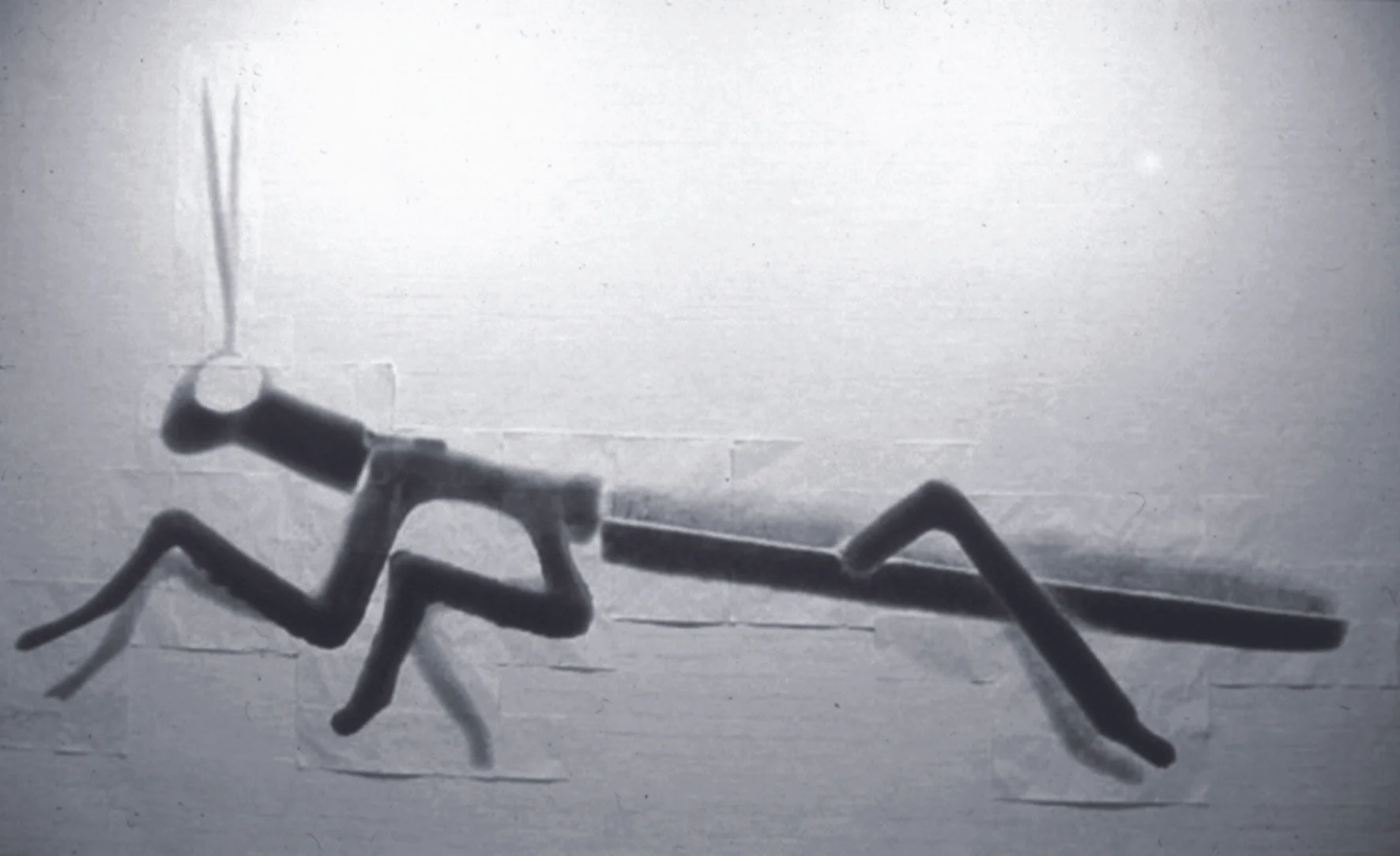 Erica Seccombe, Luvamuncher , 2001, 7x4 meters, photocopy on laser paper collage, exhibition view, Wild sheep chase , 2001 contemporary print and photo media, curated by Patsy Payne and Denise Ferris. Canberra School of Art Gallery, ANU, ACT