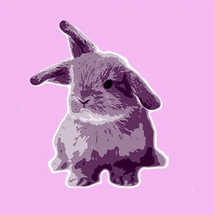 Erica Seccombe, Notverybunny, digital prints on satin paper 75x75 mm edition of ten, 2009