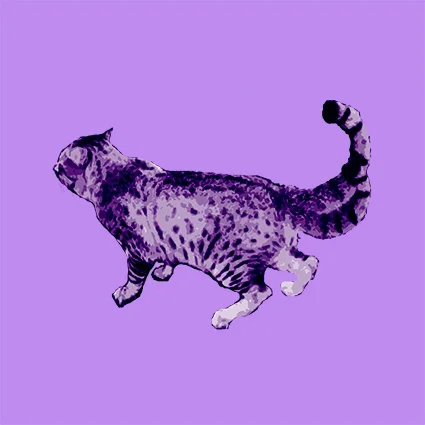 Erica Seccombe, Curiosity, digital prints on satin paper 75x75 mm edition of ten, 2009