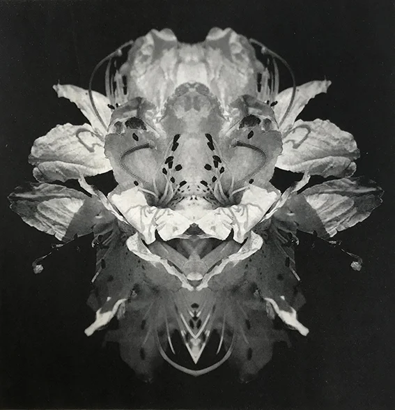 Erica Secombe, Double entendre , A/P 2018, photogravure, printed and proofed on George Baldessin Press. Auctioned for a private collection, PhotoAccess, 2018. 