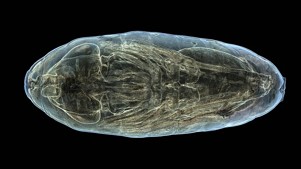 Erica wins Waterhouse Natural Science Art Prize 2018