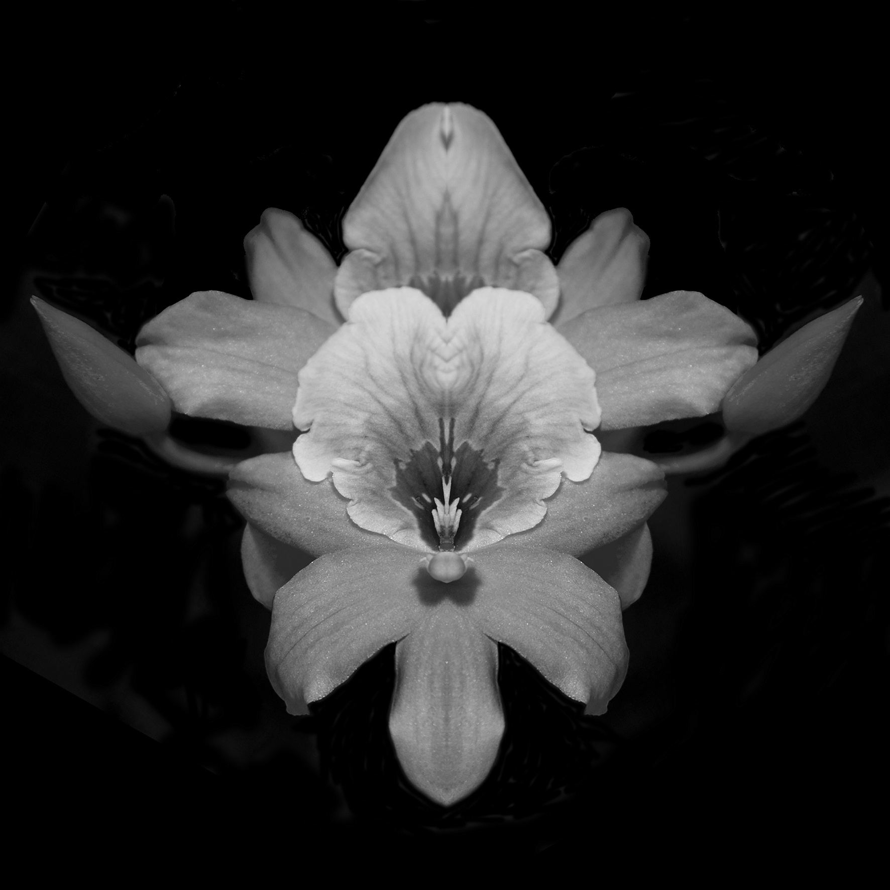 Purity in Form
