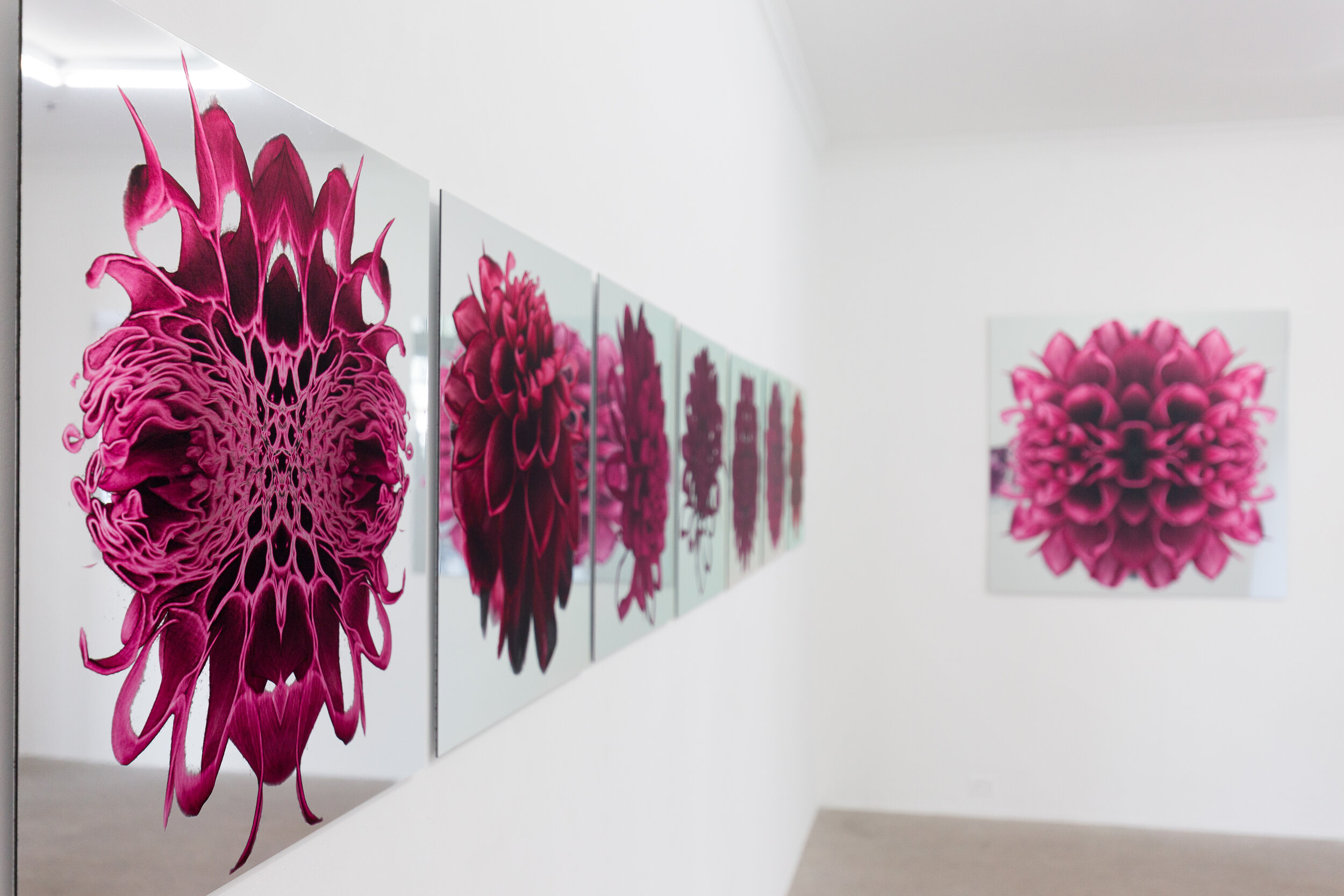 Erica Seccombe, BIG PINK 2019, installation view at Galerie pompom. Photo: Docqment 