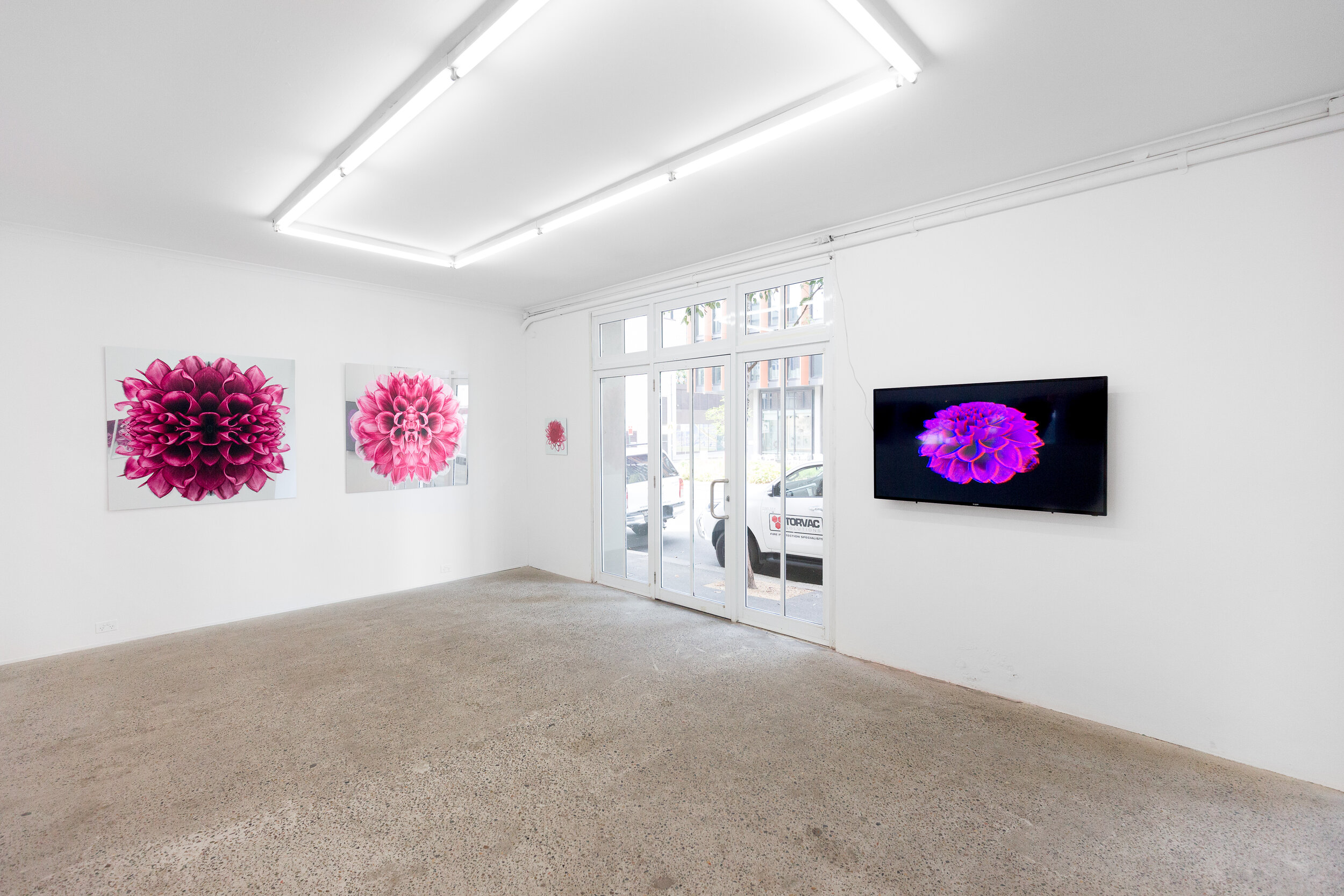  Erica Seccombe, BIG PINK 2019, installation view at Galerie pompom. Photo: Docqment 