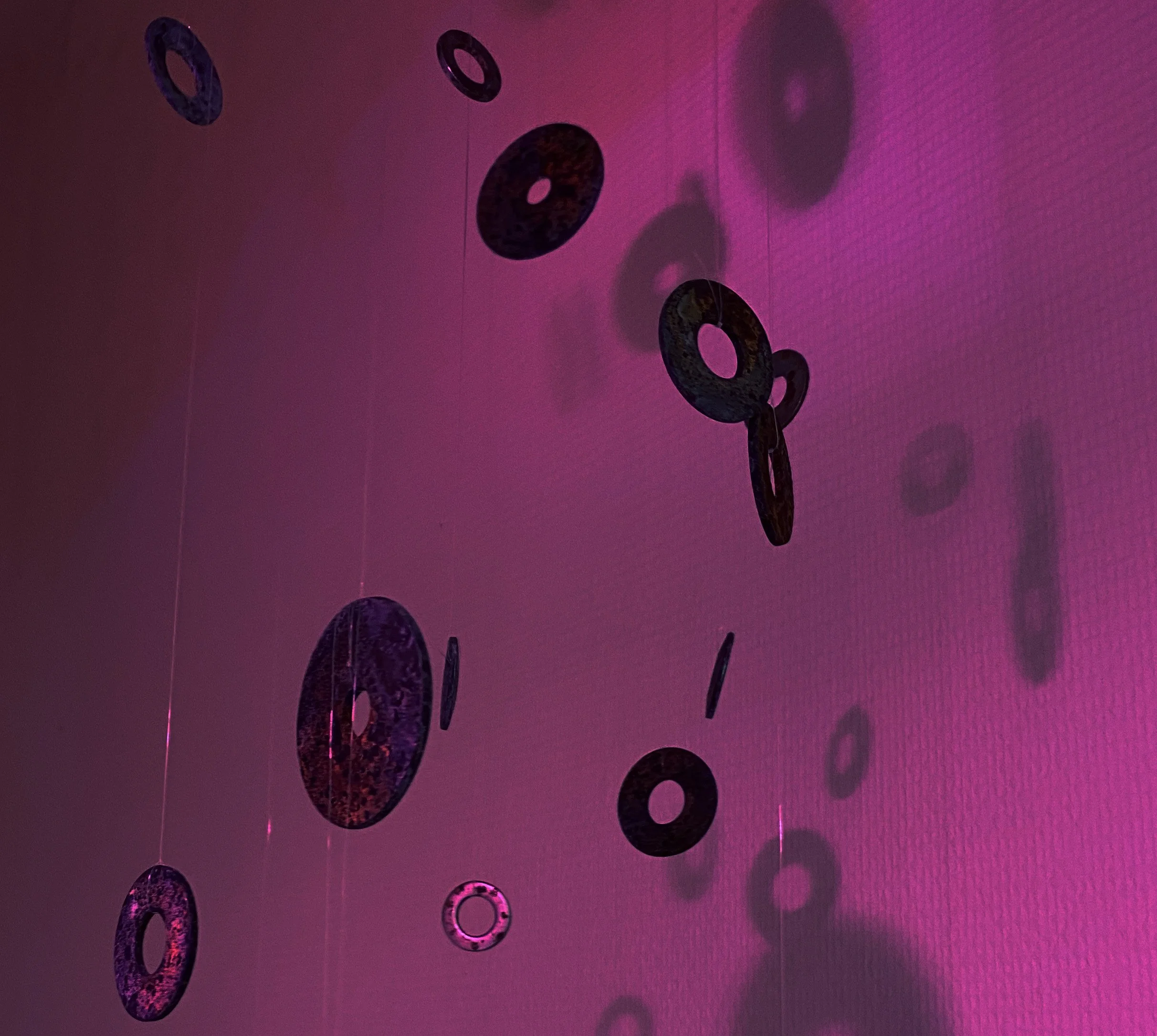 Cell shadow 1.jpg