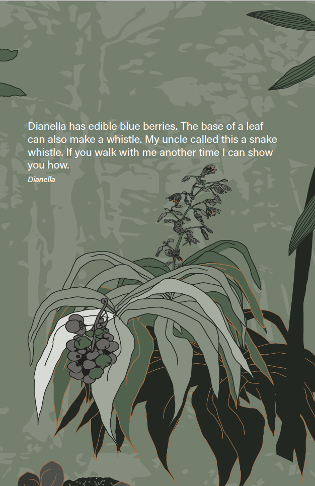 7.Screen Shot 2023-02-27 at 11.44.40 am.png