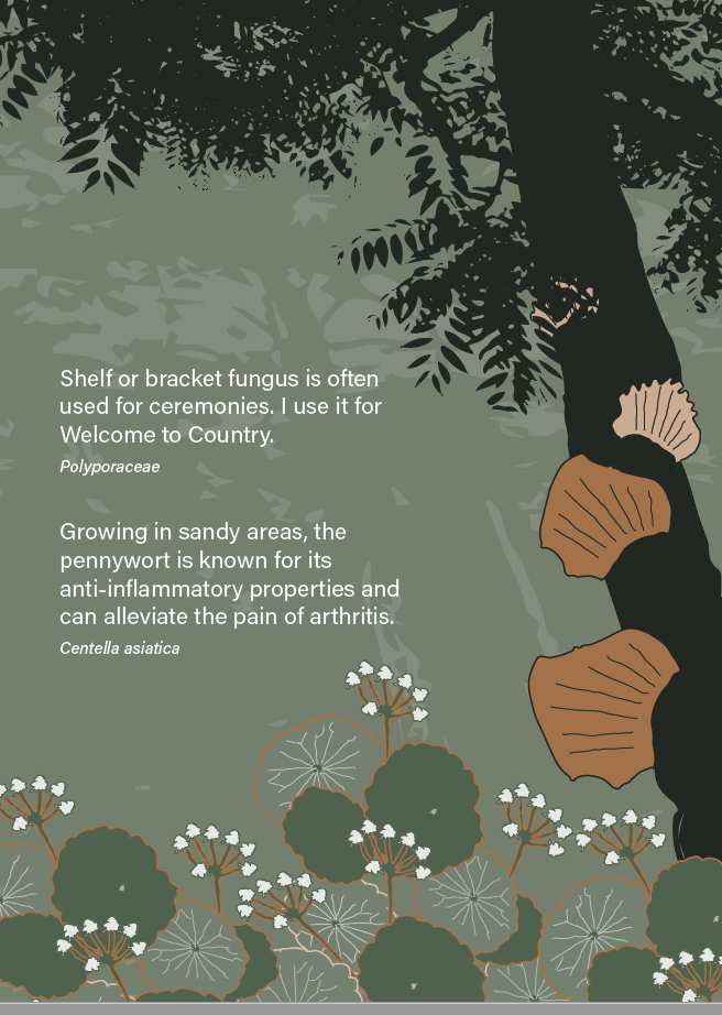 15.Screen Shot 2023-02-27 at 11.46.02 am.png