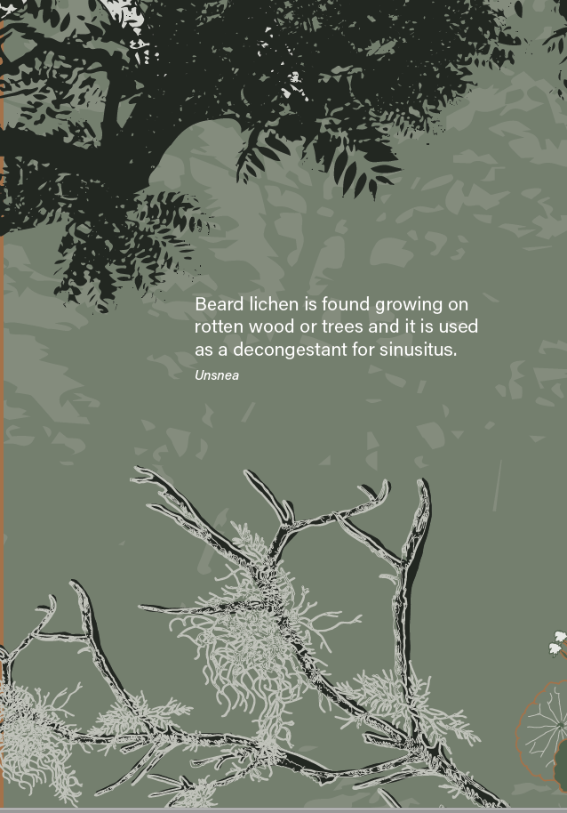 14.Screen Shot 2023-02-27 at 11.45.55 am.png