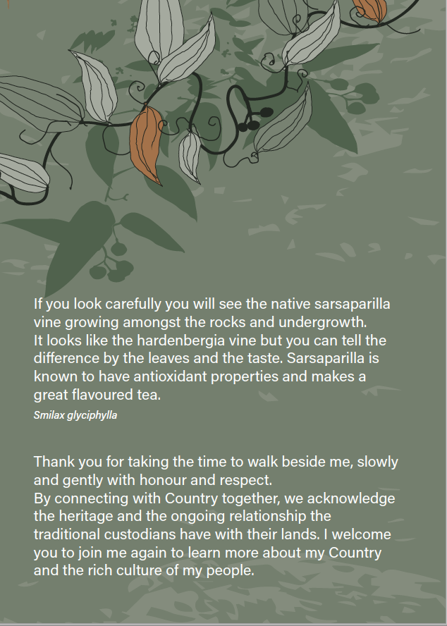 13.Screen Shot 2023-02-27 at 11.45.34 am.png