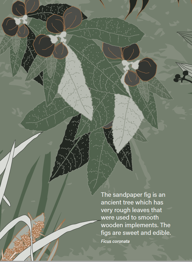 12.Screen Shot 2023-02-27 at 11.45.22 am.png