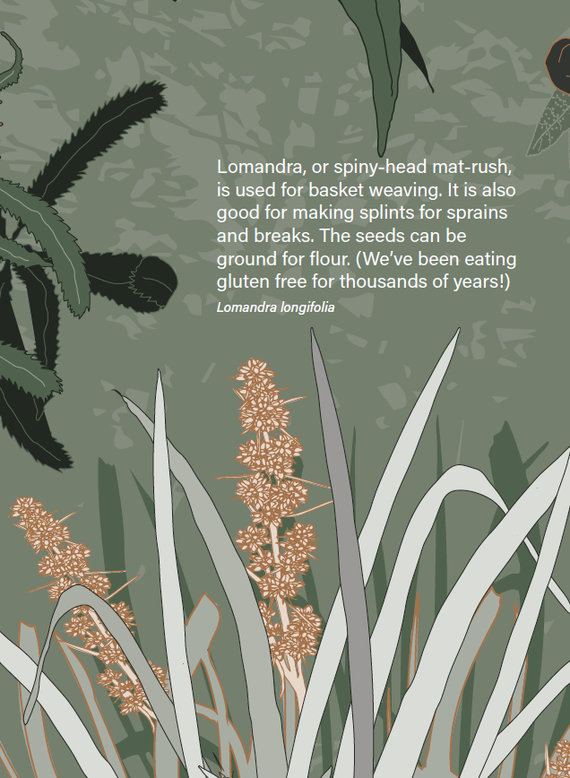 11.Screen Shot 2023-02-27 at 11.45.13 am.png