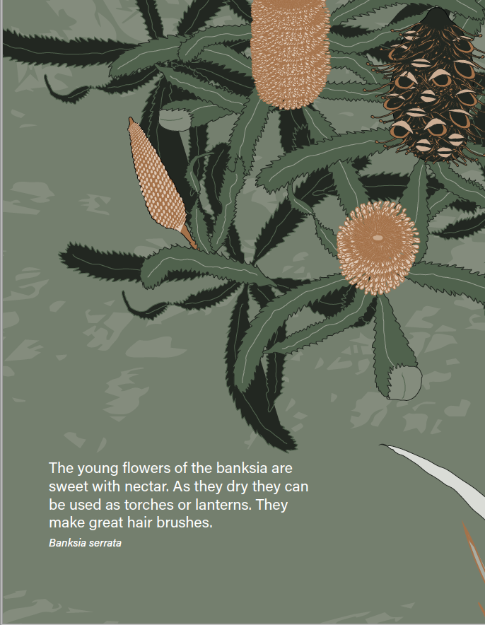 10.Screen Shot 2023-02-27 at 11.45.00 am.png