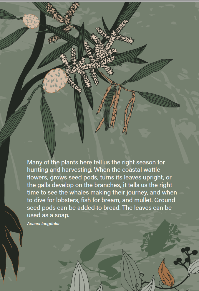 9.Screen Shot 2023-02-27 at 11.44.47 am.png