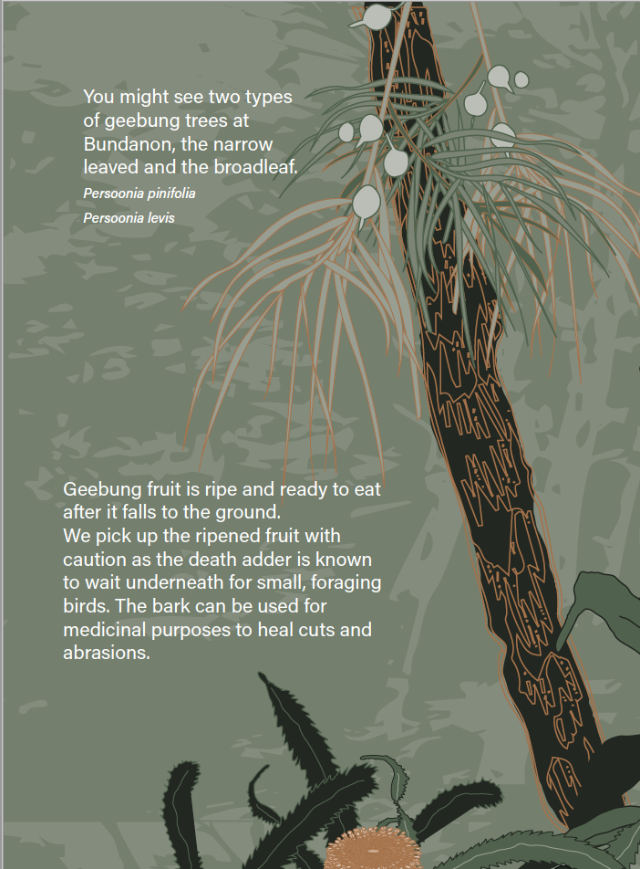 5.Screen Shot 2023-02-27 at 11.44.17 am.png