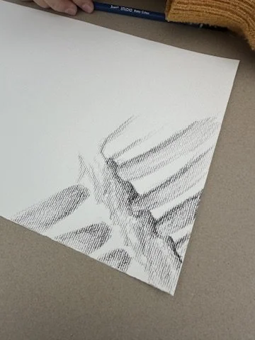 40A1C491-6601-4FF3-B26E-9889496E1107_4_5005_c.jpeg