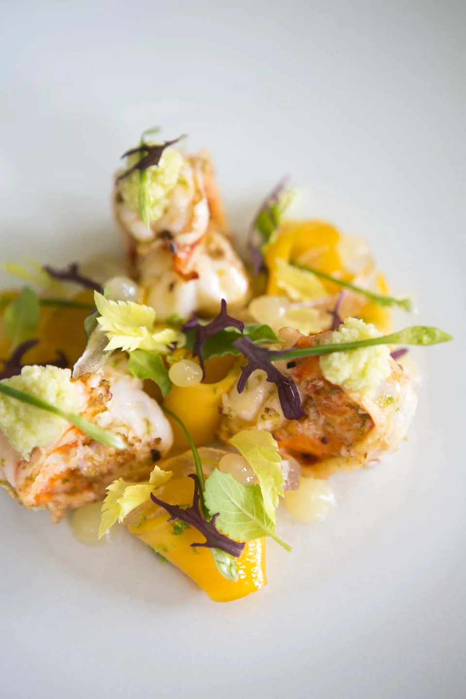 Gourmet Cuisine Seafood with Vegetables