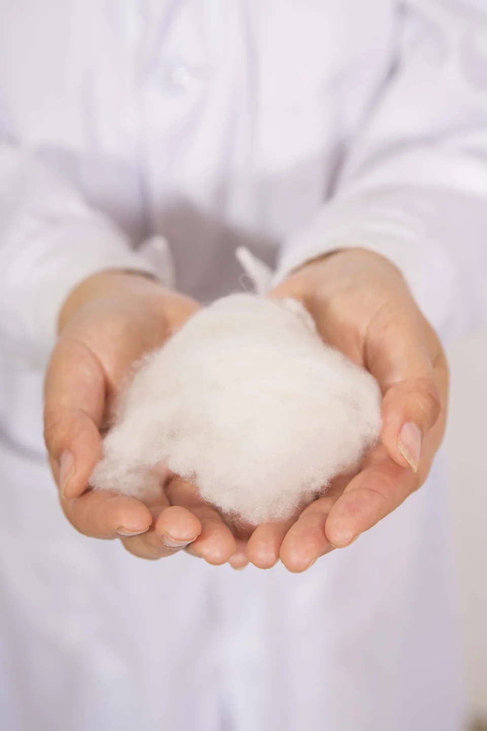 wool raw material held in cupped hands
