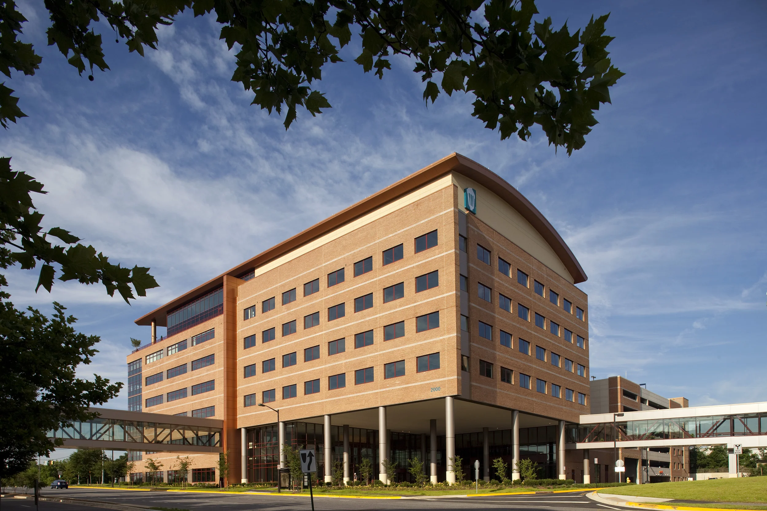 AAMC 0004rev.jpg