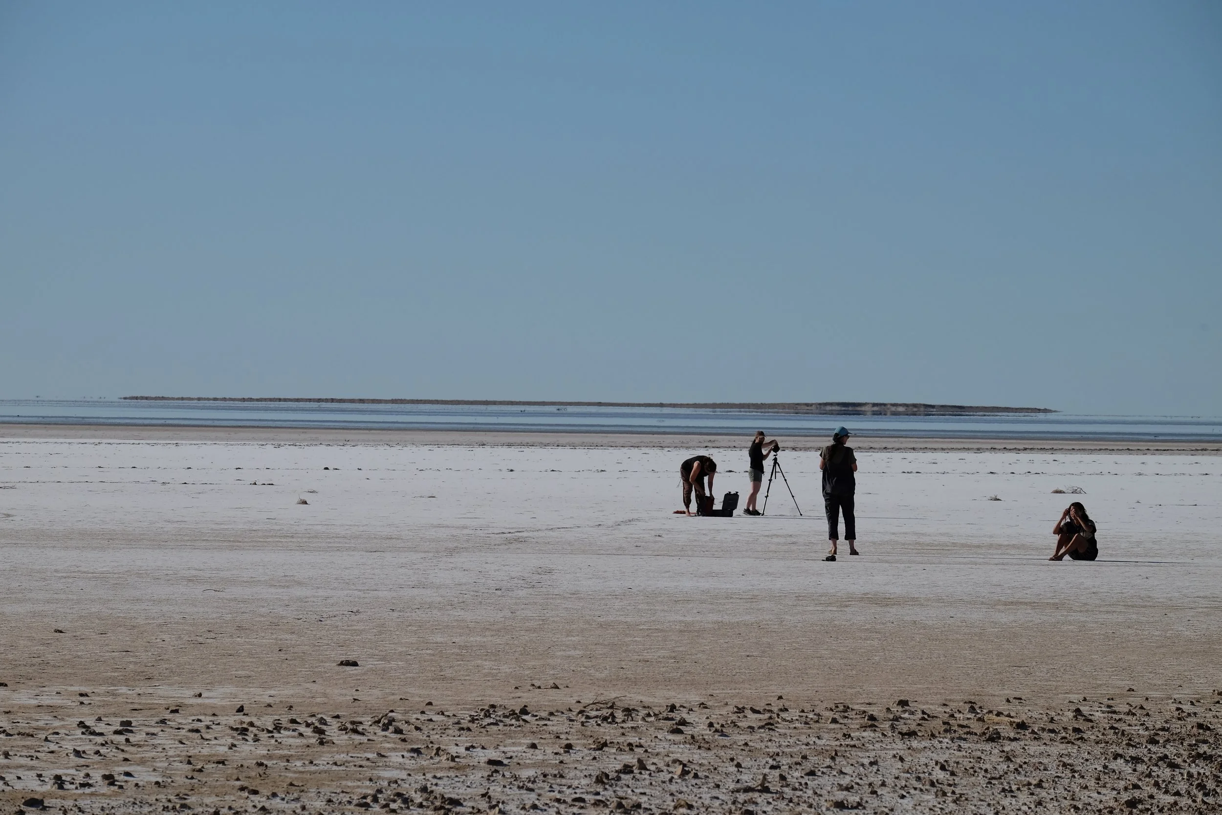 DSCF6662.JPG