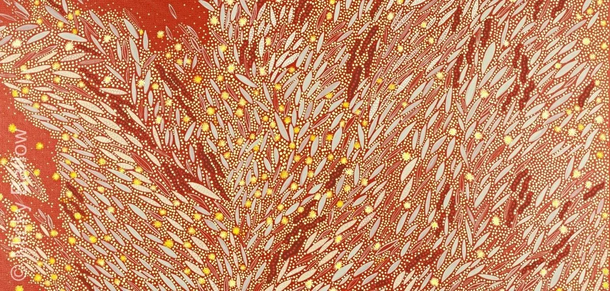 wattle_seed_slide.jpeg